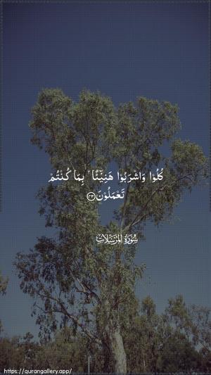 Al-Mursalaat Ayah 43 - Arabic wallpaper