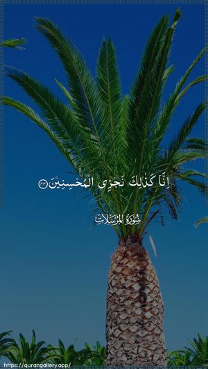 Al-Mursalaat Ayah 44 - Arabic wallpaper