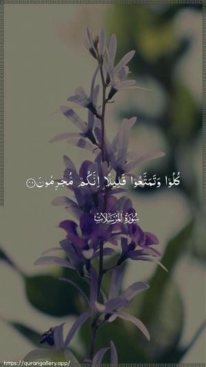 Al-Mursalaat Ayah 46 - Arabic wallpaper