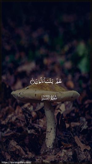 An-Naba Ayah 1 - Arabic wallpaper