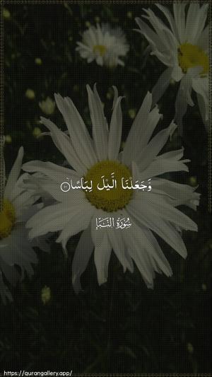 An-Naba Ayah 10 - Arabic wallpaper