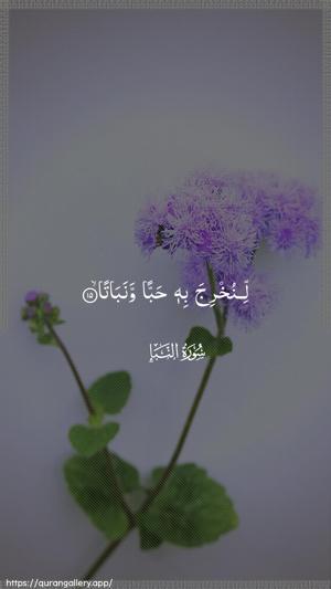 An-Naba Ayah 15 - Arabic wallpaper