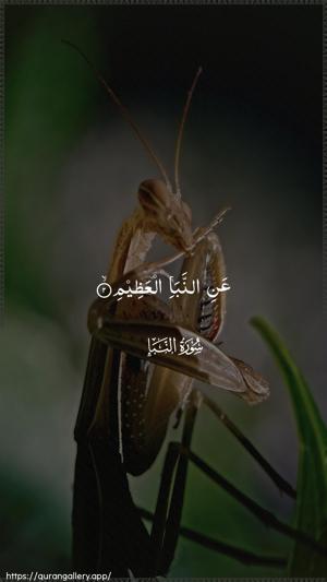 An-Naba Ayah 2 - Arabic wallpaper