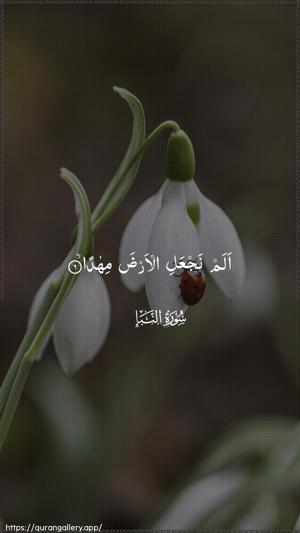 An-Naba Ayah 6 - Arabic wallpaper
