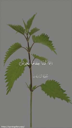 An-Naazi"aat Ayah 11 - Arabic wallpaper