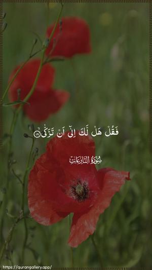 An-Naazi"aat Ayah 18 - Arabic wallpaper