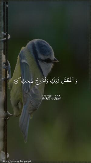 An-Naazi"aat Ayah 29 - Arabic wallpaper