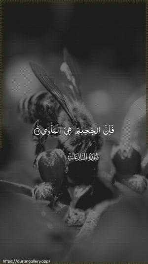 An-Naazi"aat Ayah 39 - Arabic wallpaper