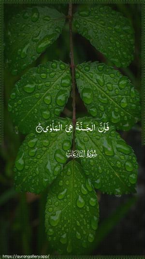 An-Naazi"aat Ayah 41 - Arabic wallpaper