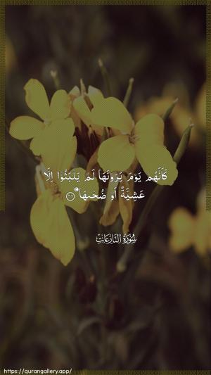 An-Naazi"aat Ayah 46 - Arabic wallpaper