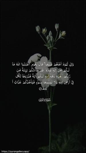Al-A"raaf Ayah 73 - Arabic wallpaper