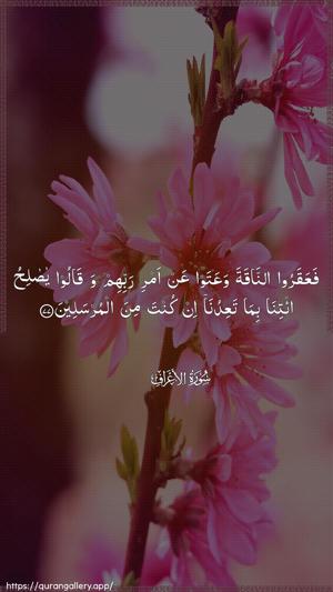 Al-A"raaf Ayah 77 - Arabic wallpaper