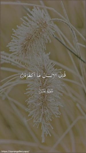 Abasa Ayah 17 - Arabic wallpaper