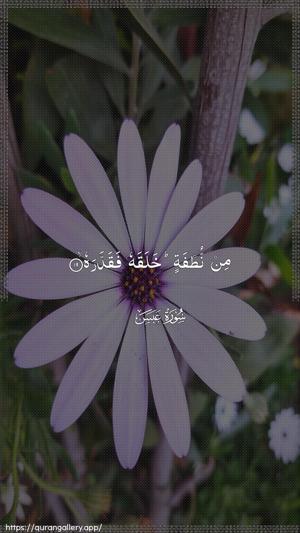 Abasa Ayah 19 - Arabic wallpaper
