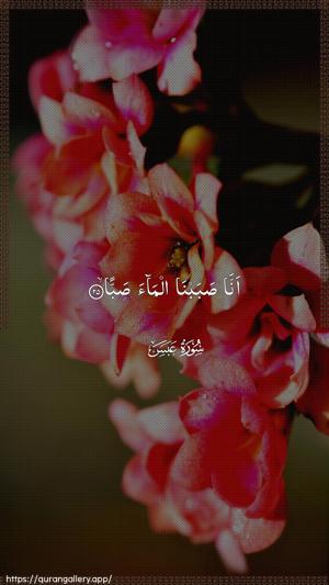 Abasa Ayah 25 - Arabic wallpaper