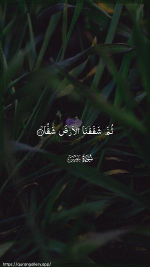 Abasa Ayah 26 - Arabic wallpaper