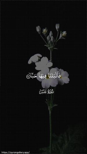 Abasa Ayah 27 - Arabic wallpaper