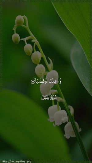 Abasa Ayah 28 - Arabic wallpaper