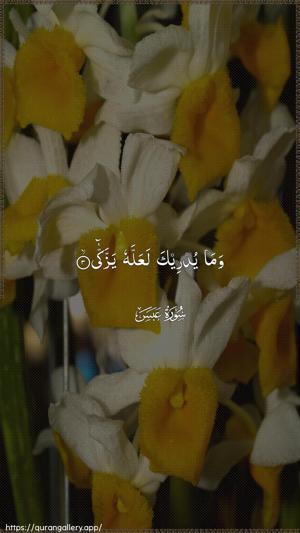 Abasa Ayah 3 - Arabic wallpaper