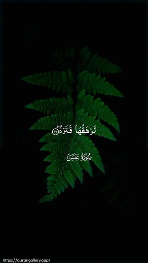Abasa Ayah 41 - Arabic wallpaper