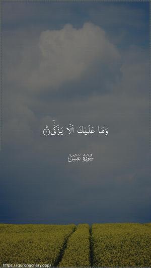 Abasa Ayah 7 - Arabic wallpaper