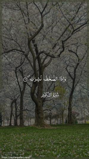 At-Takwir Ayah 10 - Arabic wallpaper