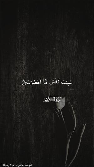 At-Takwir Ayah 14 - Arabic wallpaper