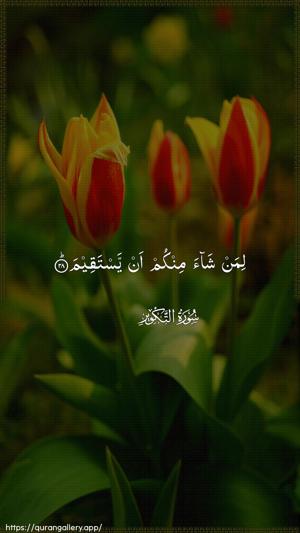 At-Takwir Ayah 28 - Arabic wallpaper