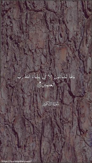At-Takwir Ayah 29 - Arabic wallpaper