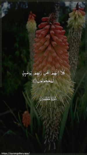 Al-Mutaffifin Ayah 15 - Arabic wallpaper