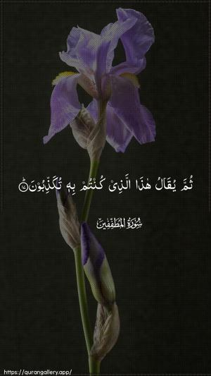 Al-Mutaffifin Ayah 17 - Arabic wallpaper