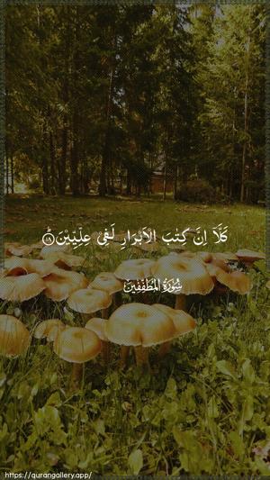 Al-Mutaffifin Ayah 18 - Arabic wallpaper
