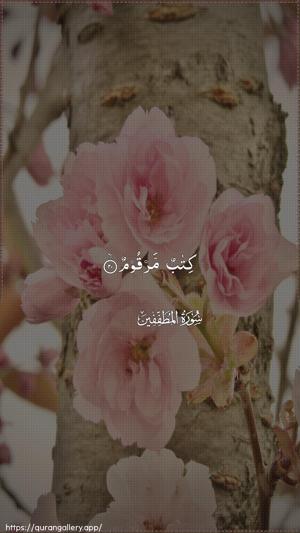 Al-Mutaffifin Ayah 20 - Arabic wallpaper