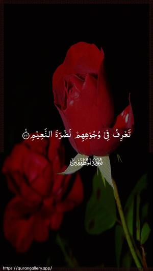Al-Mutaffifin Ayah 24 - Arabic wallpaper