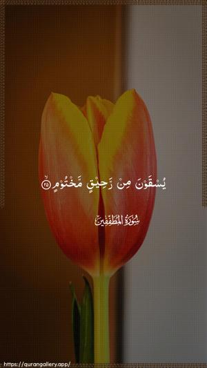 Al-Mutaffifin Ayah 25 - Arabic wallpaper