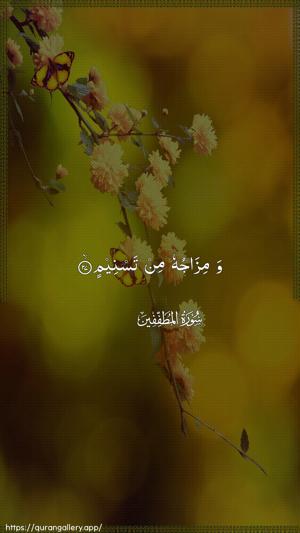 Al-Mutaffifin Ayah 27 - Arabic wallpaper