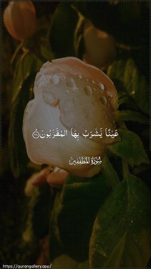 Al-Mutaffifin Ayah 28 - Arabic wallpaper