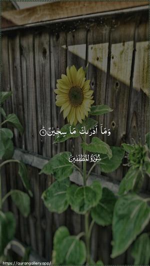 Al-Mutaffifin Ayah 8 - Arabic wallpaper