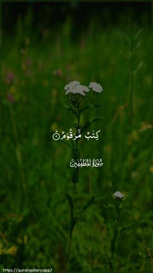 Al-Mutaffifin Ayah 9 - Arabic wallpaper