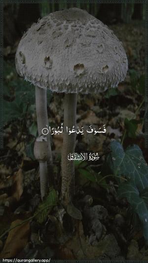 Al-Inshiqaaq Ayah 11 - Arabic wallpaper
