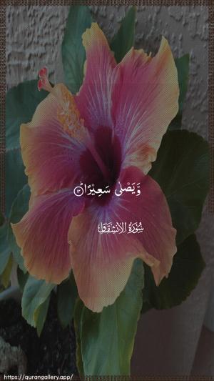 Al-Inshiqaaq Ayah 12 - Arabic wallpaper