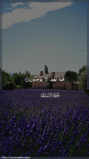 Al-Inshiqaaq Ayah 20 - Arabic wallpaper