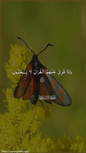 Al-Inshiqaaq Ayah 21 - Arabic wallpaper