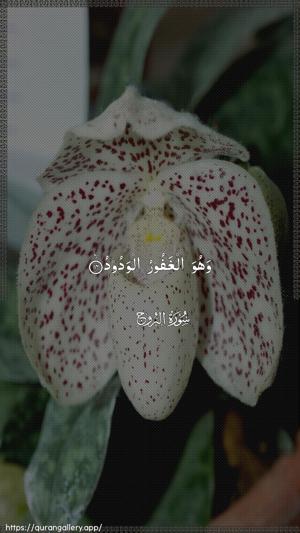 Al-Burooj Ayah 14 - Arabic wallpaper