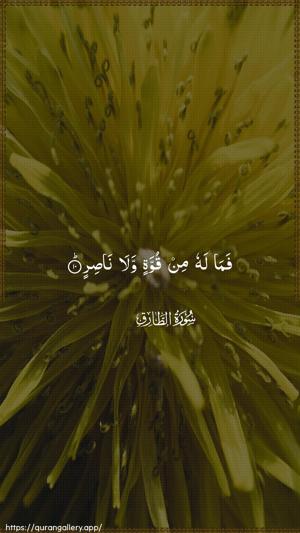 At-Taariq Ayah 10 - Arabic wallpaper