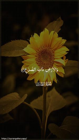 At-Taariq Ayah 12 - Arabic wallpaper