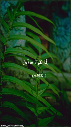 At-Taariq Ayah 13 - Arabic wallpaper