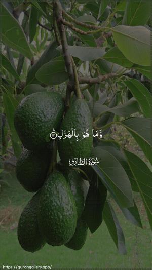 At-Taariq Ayah 14 - Arabic wallpaper