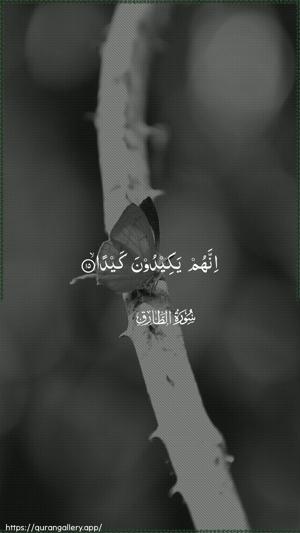 At-Taariq Ayah 15 - Arabic wallpaper