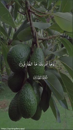 At-Taariq Ayah 2 - Arabic wallpaper